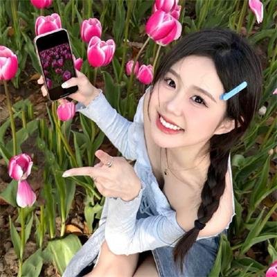 玫瑰信贷